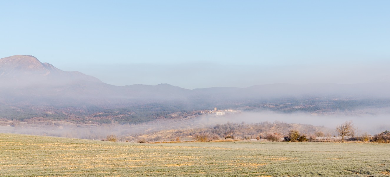 Ibort, Huesca, España, 2015-01-07, DD 01