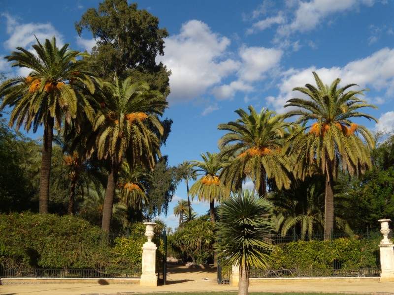 Jardines de Murillo 1