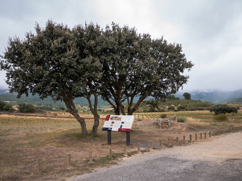 Laguardia - Dolmen El Sotillo 01