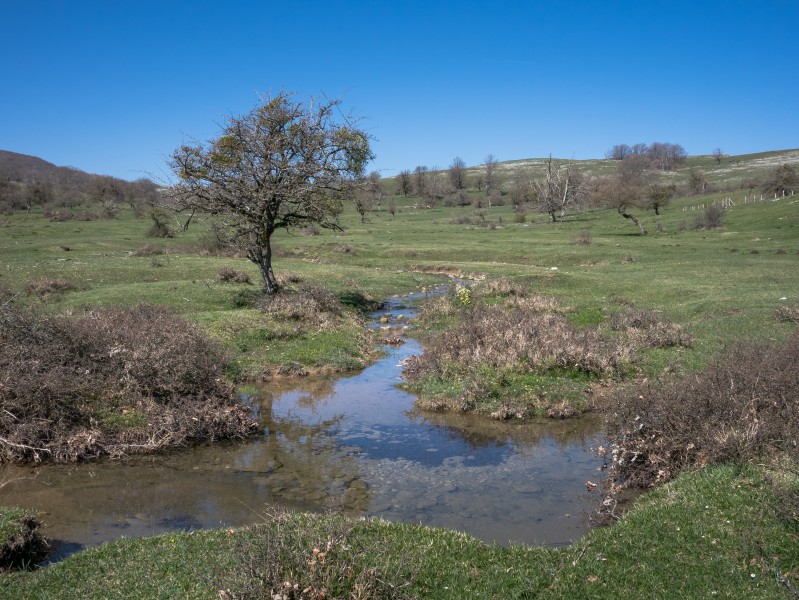 Legaire - Arroyo 02