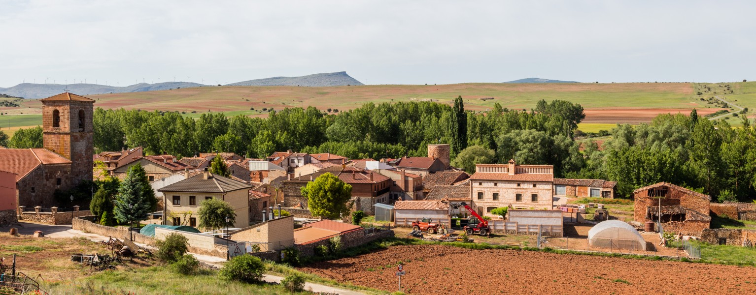 Liceras, Soria, España, 2017-05-26, DD 24