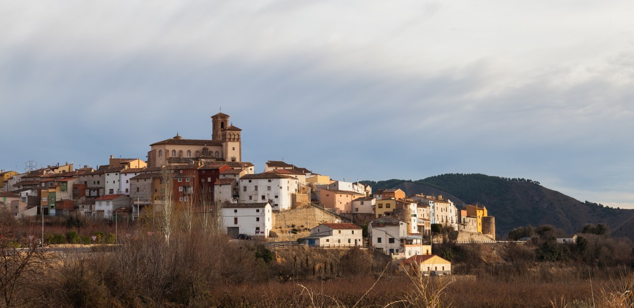Montón, Zaragoza, España, 2014-01-08, DD 03