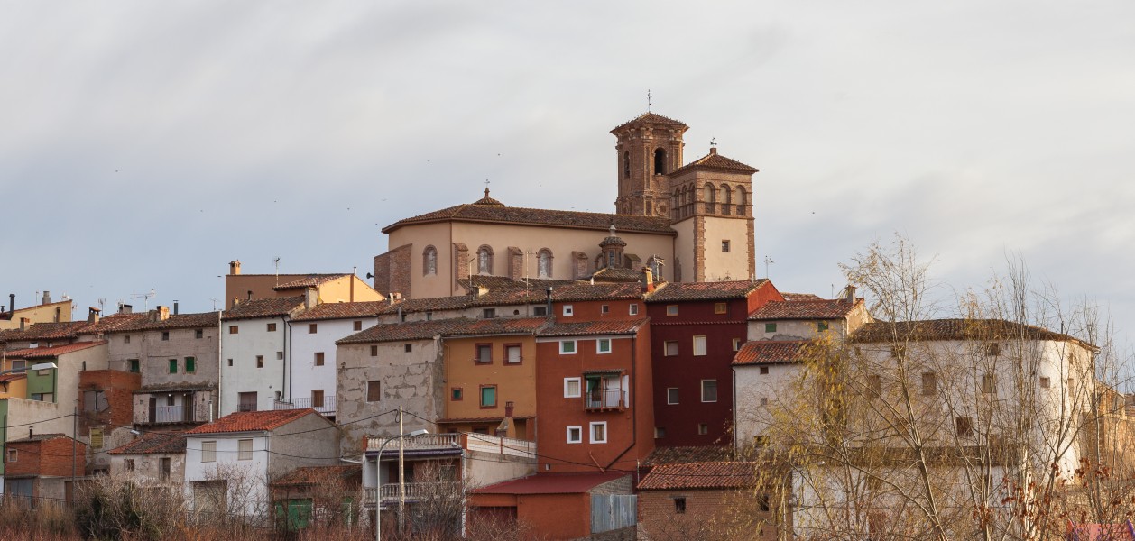 Montón, Zaragoza, España, 2014-01-08, DD 05