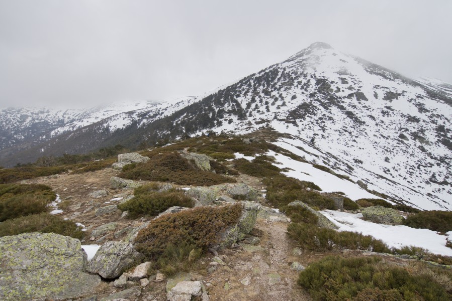 Montón de Trigo - 01