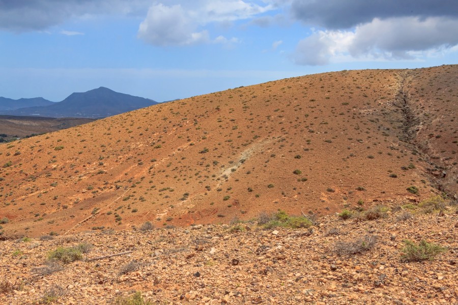 Montaña de Cardón 02