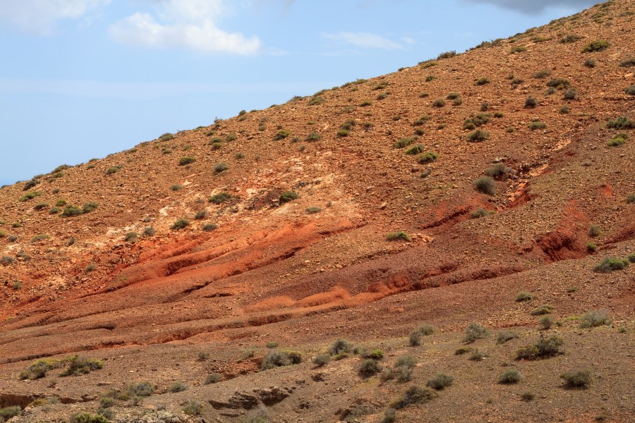 Montaña de Cardón 03