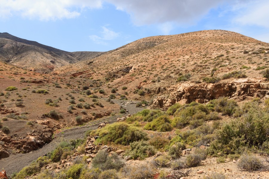 Montaña de Cardón 04