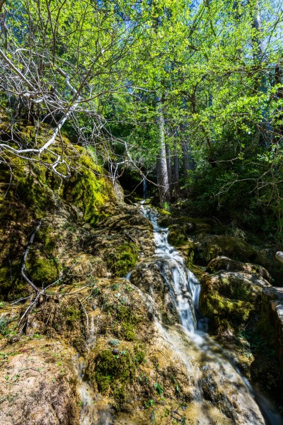 Nacimiento del río Cuervo, Vega del Codorno, Cuenca, España, 2017-05-22, DD 14