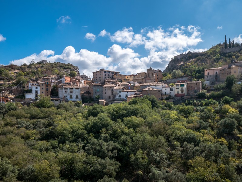 Olvena 01