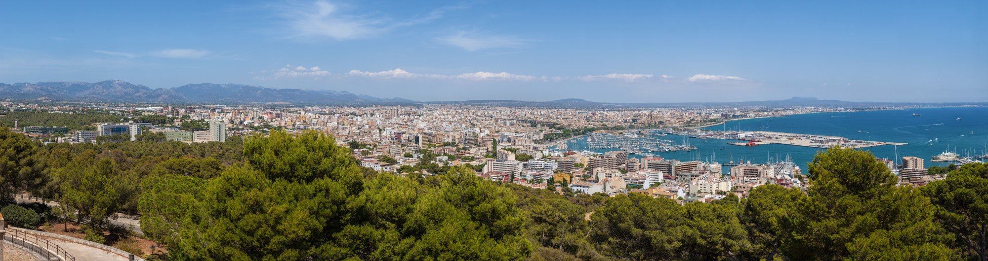 Palma von Castell de Bellver
