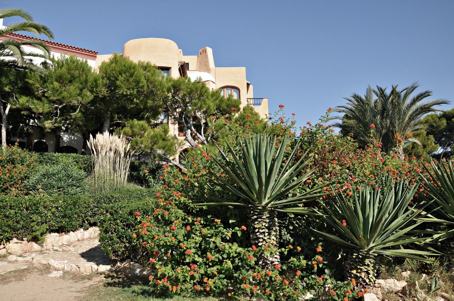 Roc de sant gaitá-2012 (8)
