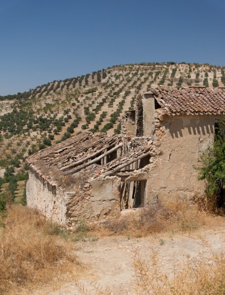 Simple ruin, almond trees plantation, Andalusia, Spain