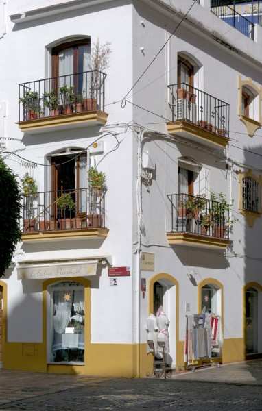 Spain Andalusia Marbella BW 2015-10-28 11-49-04