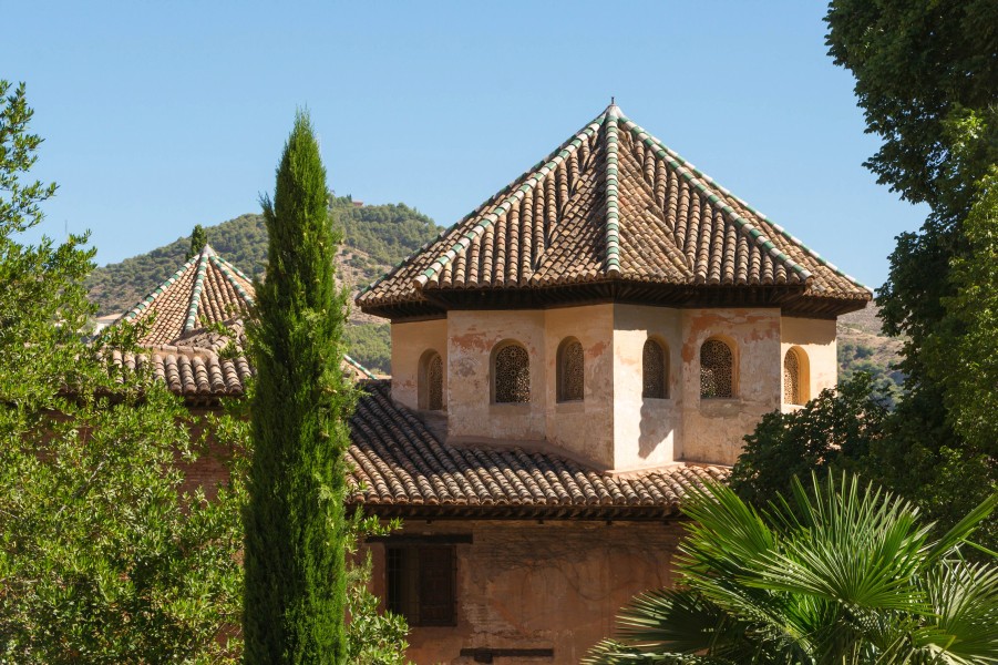 Toit salle Abencerrages Alhambra Espagne