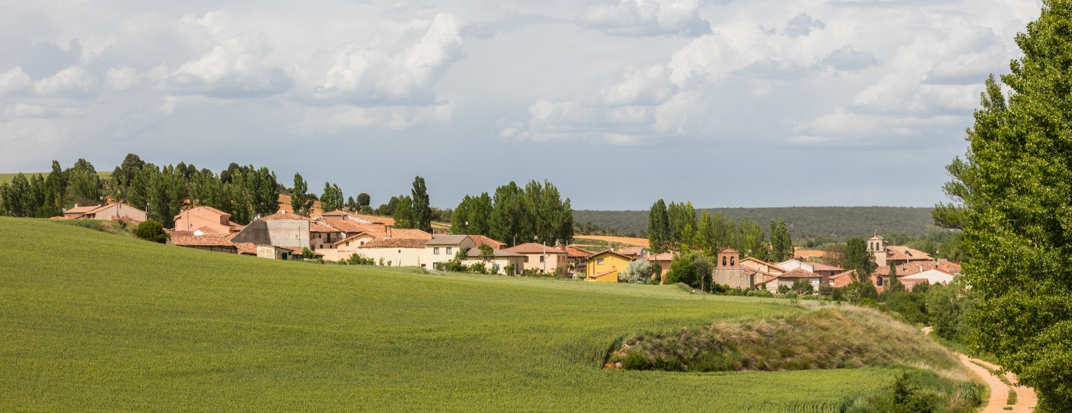 Torreblacos, Soria, España, 2017-05-26, DD 82