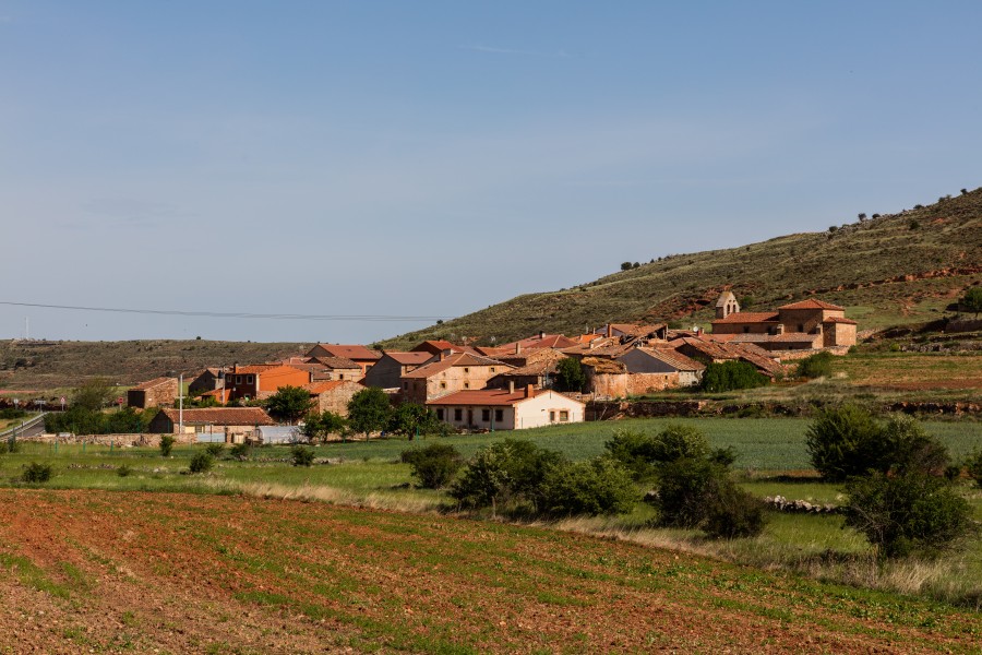 Torresuso, Soria, España, 2017-05-26, DD 20