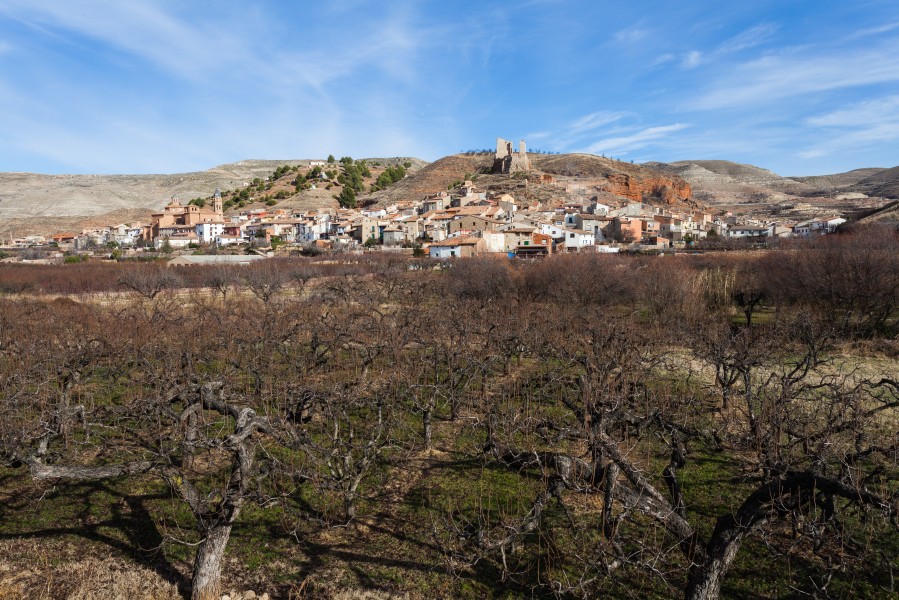 Villafeliche, Zaragoza, España, 2014-01-08, DD 09