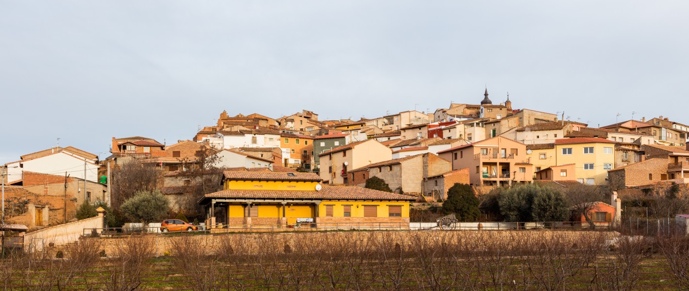 Villalengua, Zaragoza, España, 2015-12-29, DD 01