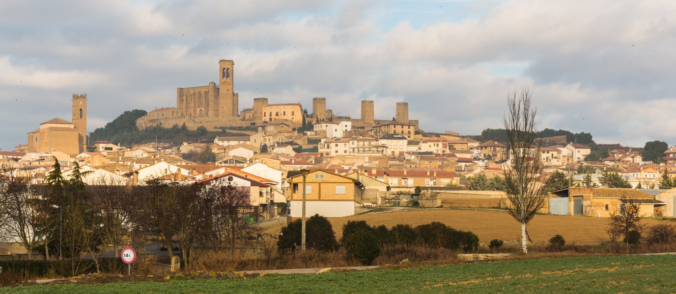 Vista de Artajona, Navarra, España, 2015-01-06, DD 01
