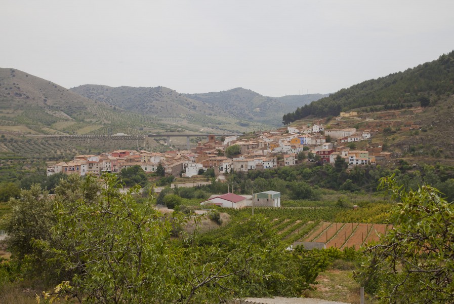 Vista de Embid de la Ribera, España 2012-05-19, DD 01