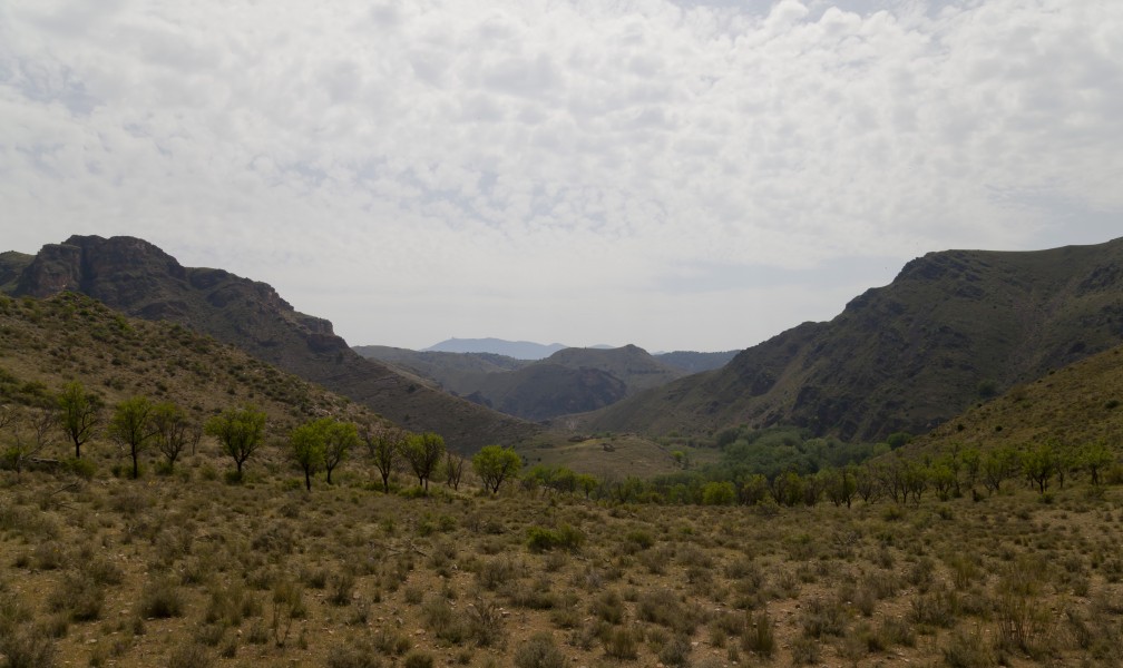 Vista de las Hoces del río Jalón, Embid de la Ribera, España 2012-05-19, DD 01