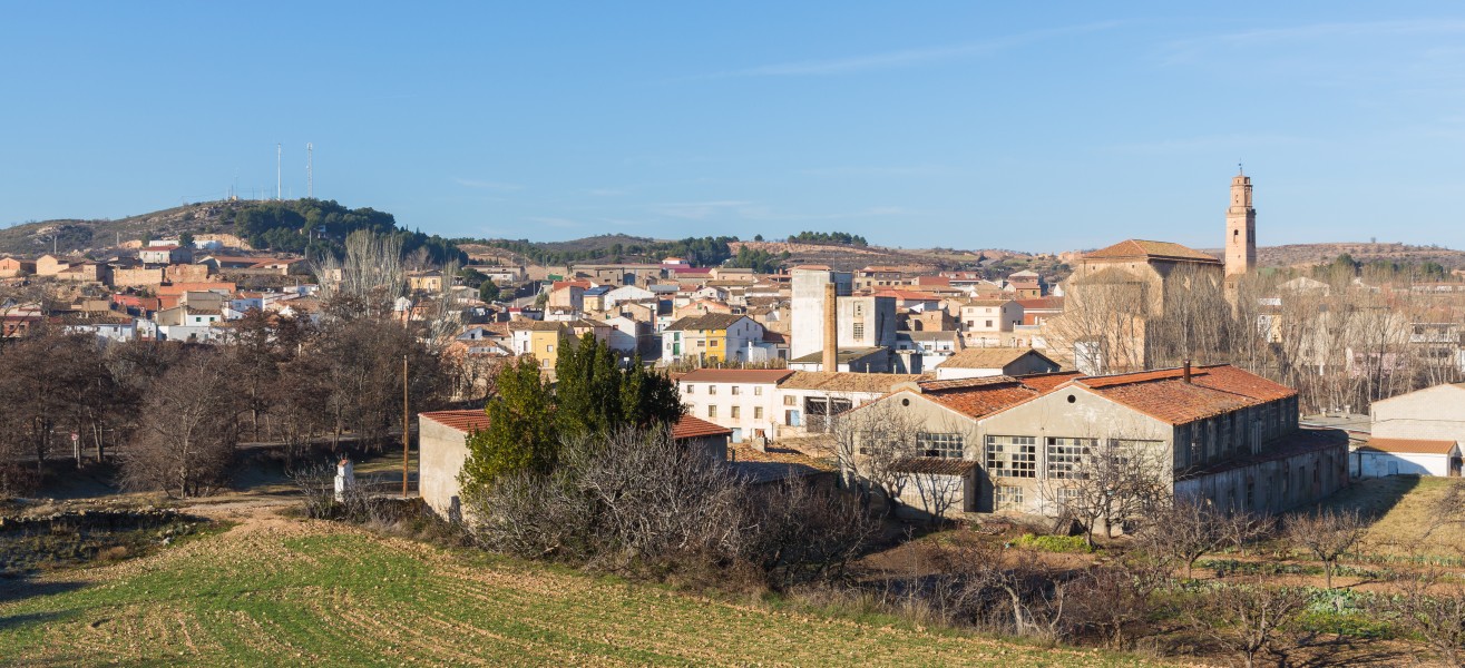 Vista de Villanueva de Huerva, Zaragoza, España, 2015-01-08, DD 01