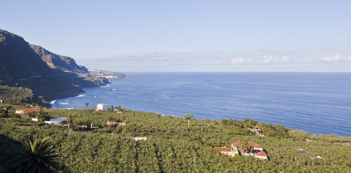 Vista desde el Mirador de San Pedro, Los Realejos, Tenerife, España, 2012-12-13, DD 01