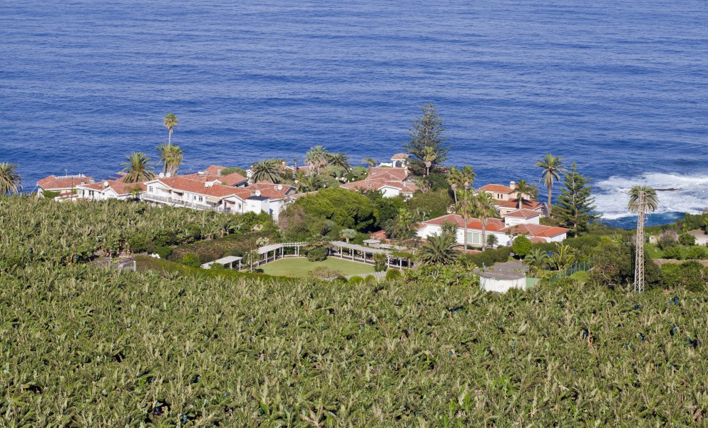 Vista desde el Mirador de San Pedro, Los Realejos, Tenerife, España, 2012-12-13, DD 05
