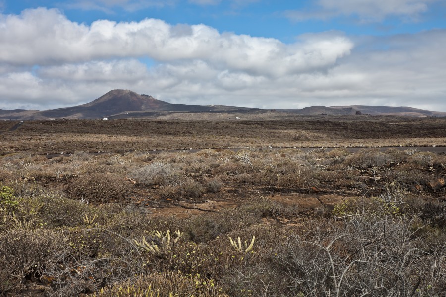 Volcán de la Corona desde Jameos del Agua - Lanzarote - A10