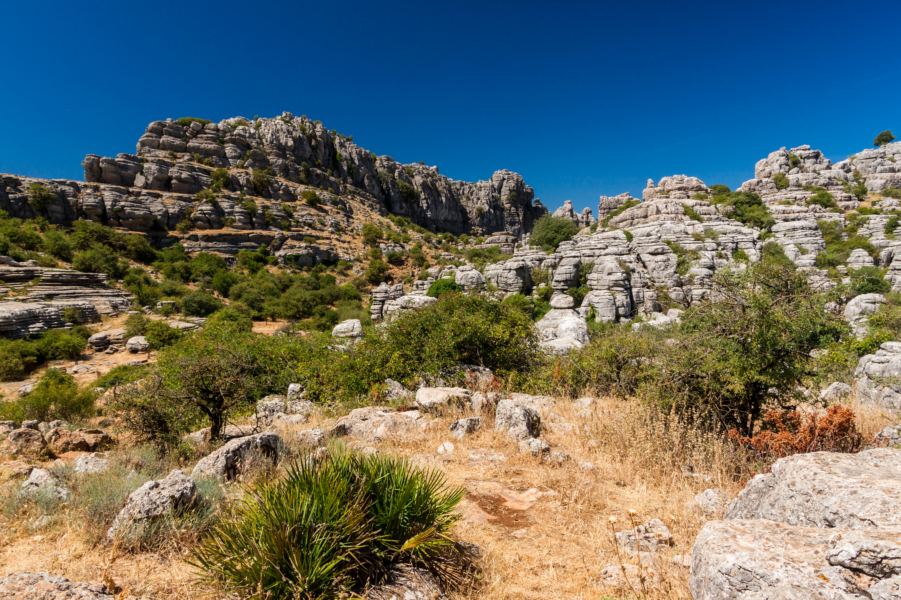Rocks El Torcal de Antequera karst 12 Andalusia Spain