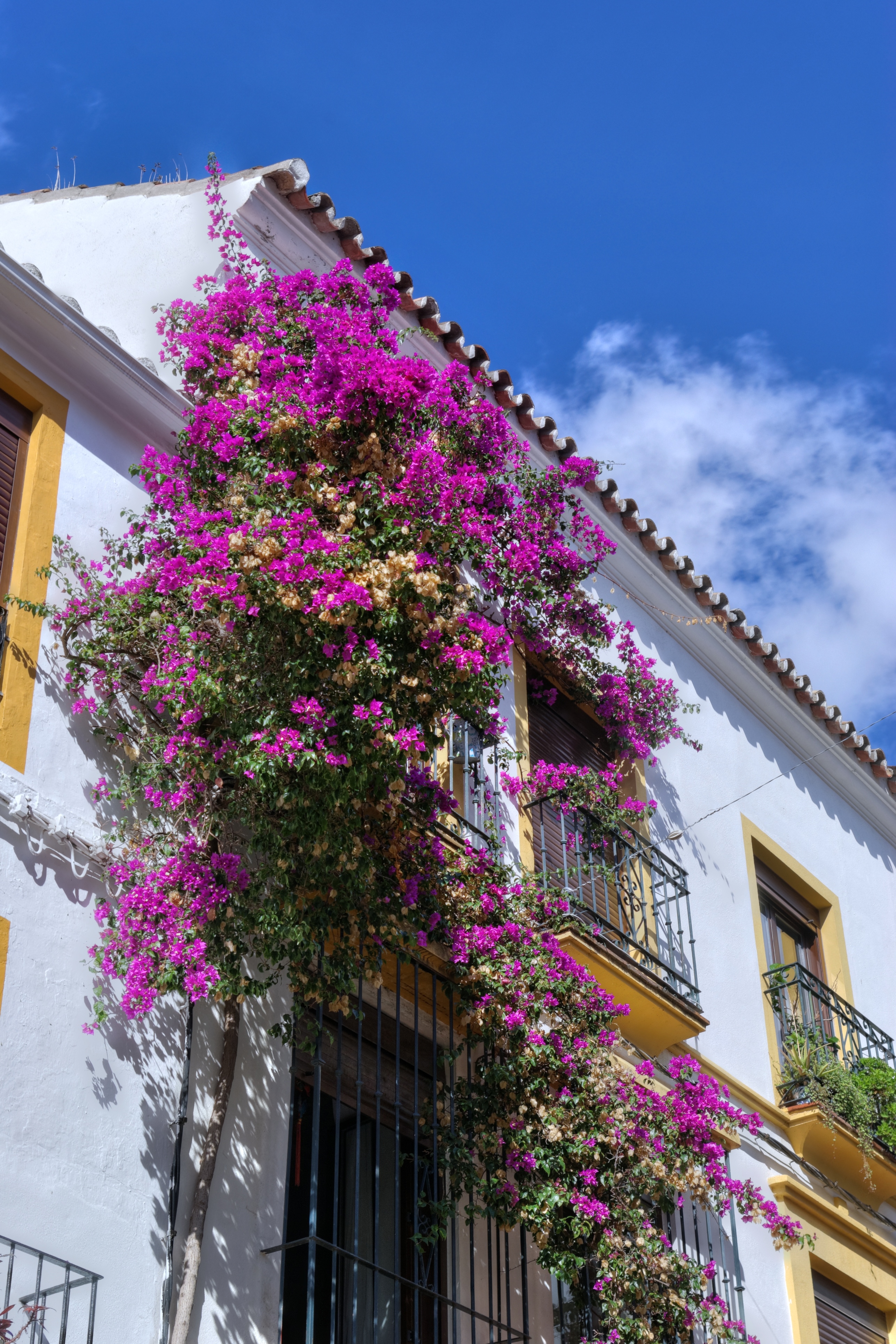 Spain Andalusia Marbella BW 2015-10-28 12-39-34 1 2