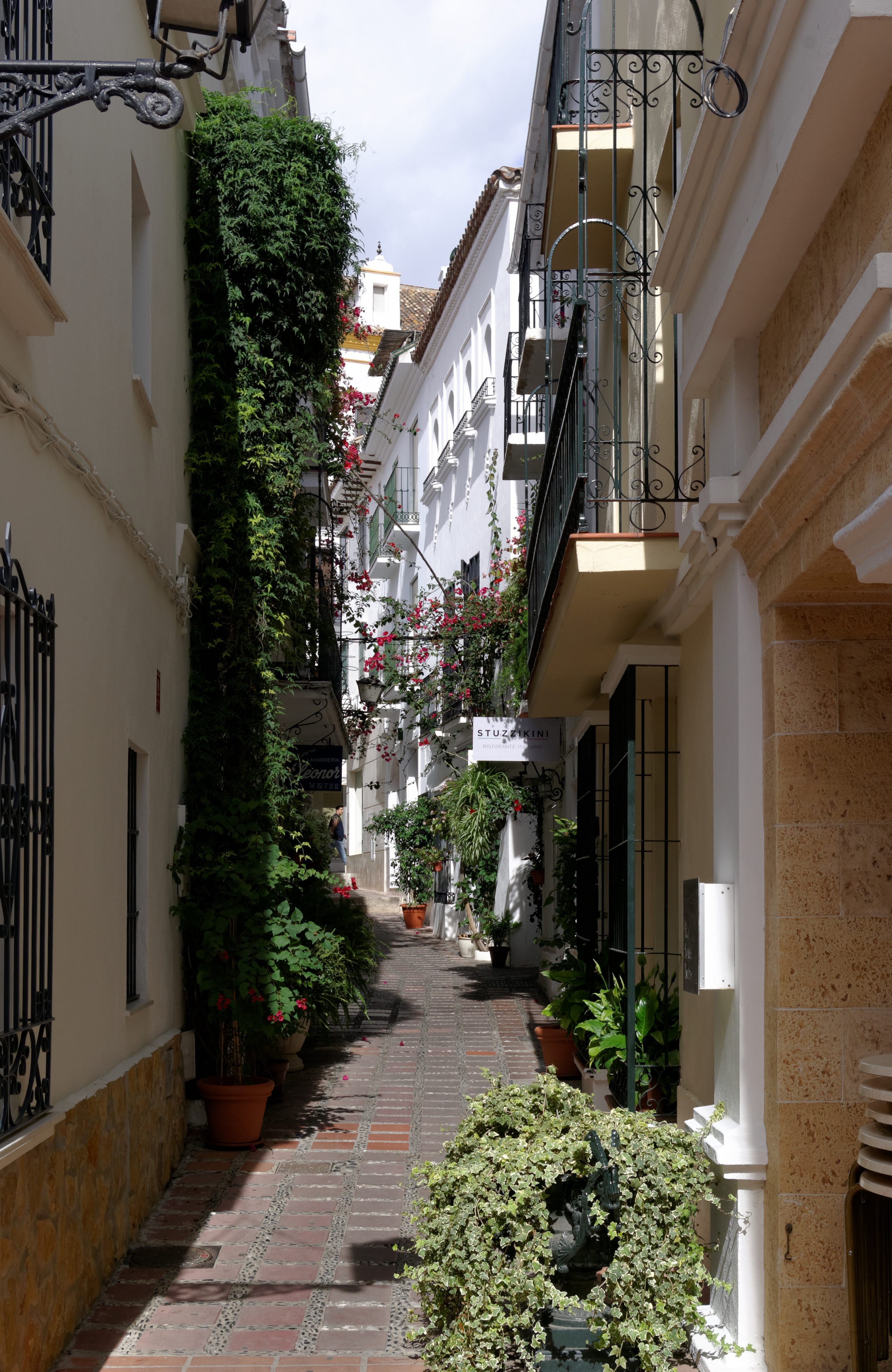 Spain Andalusia Marbella BW 2015-10-28 13-52-11 1