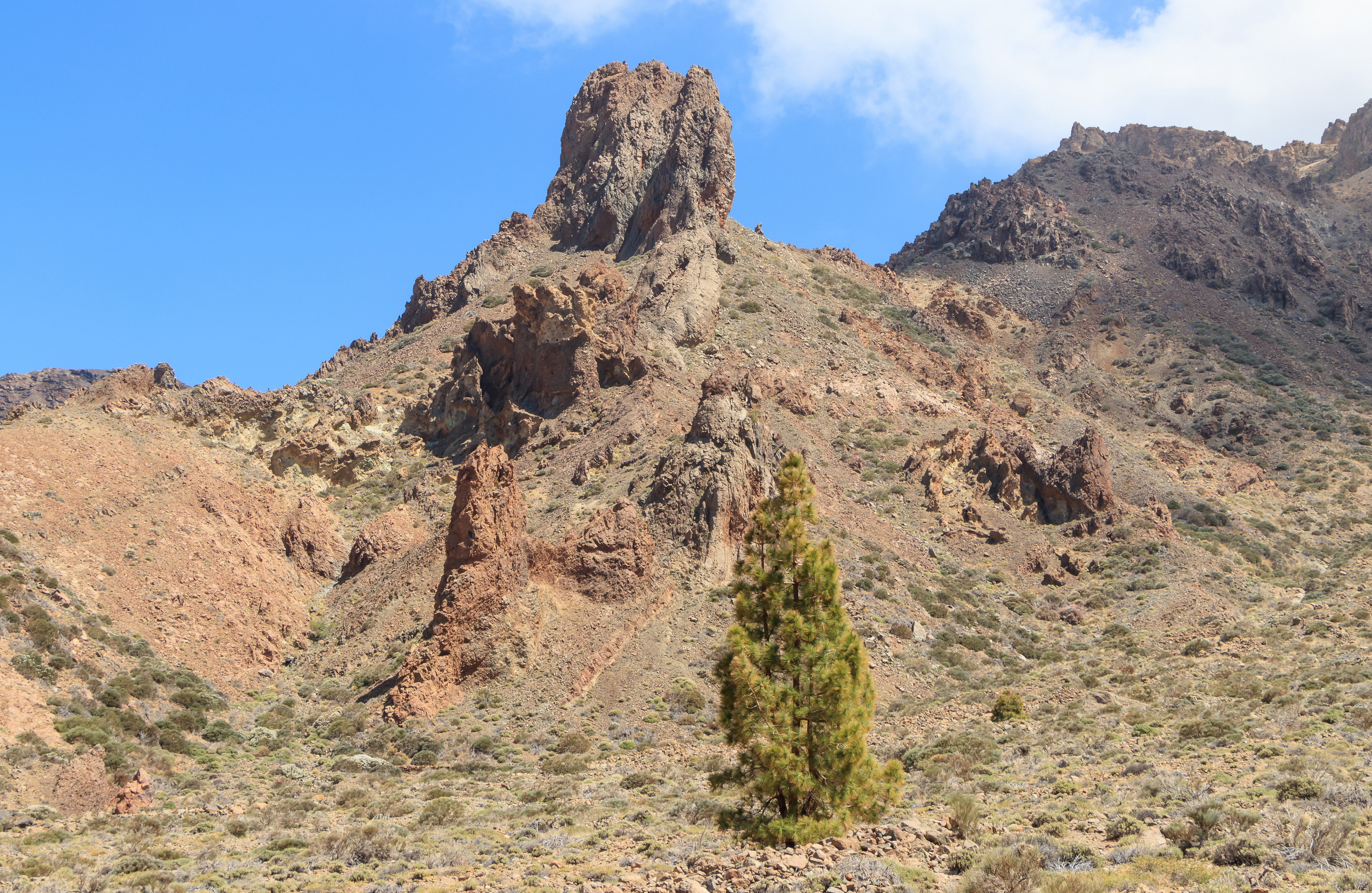 Caldera de las Cañadas 11