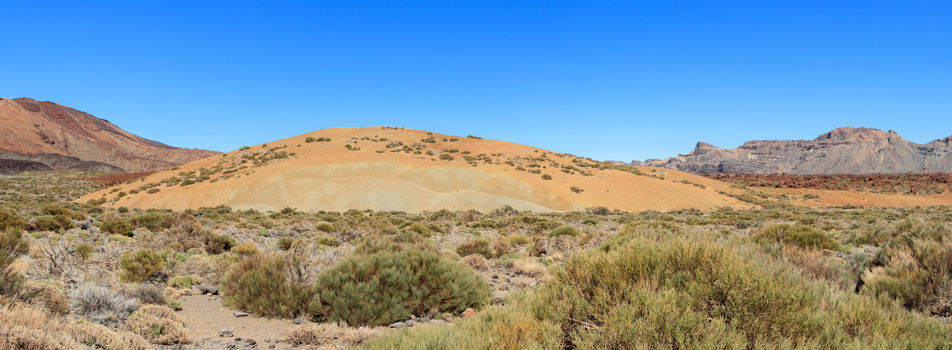 Caldera de las Cañadas 14