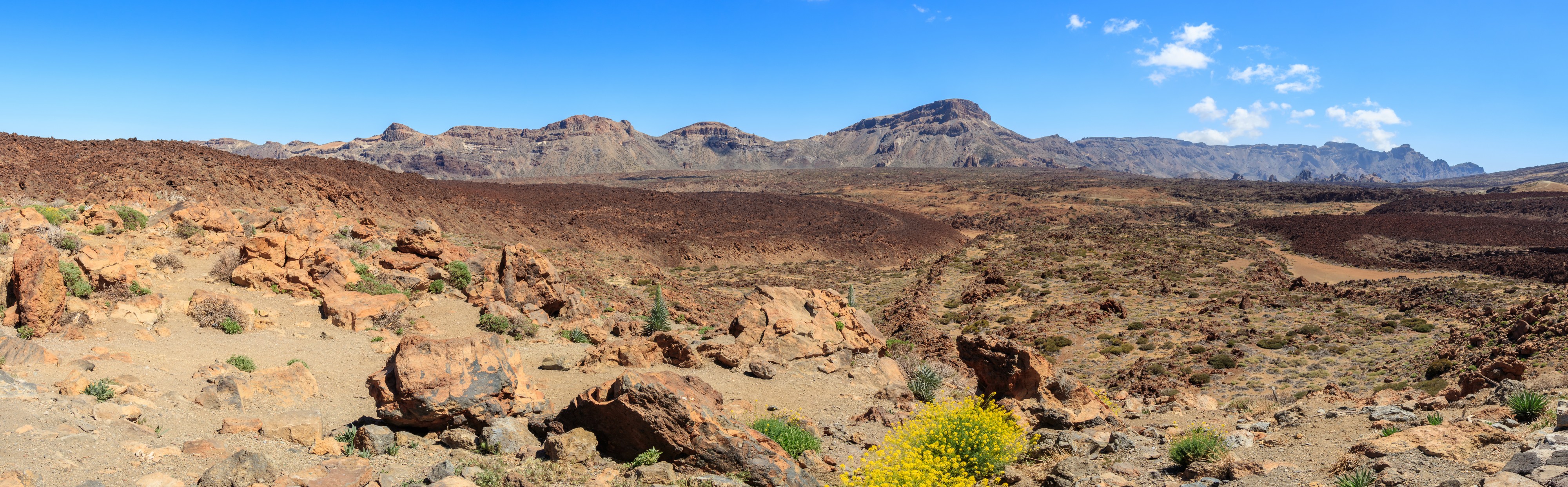 Caldera de las Cañadas 16