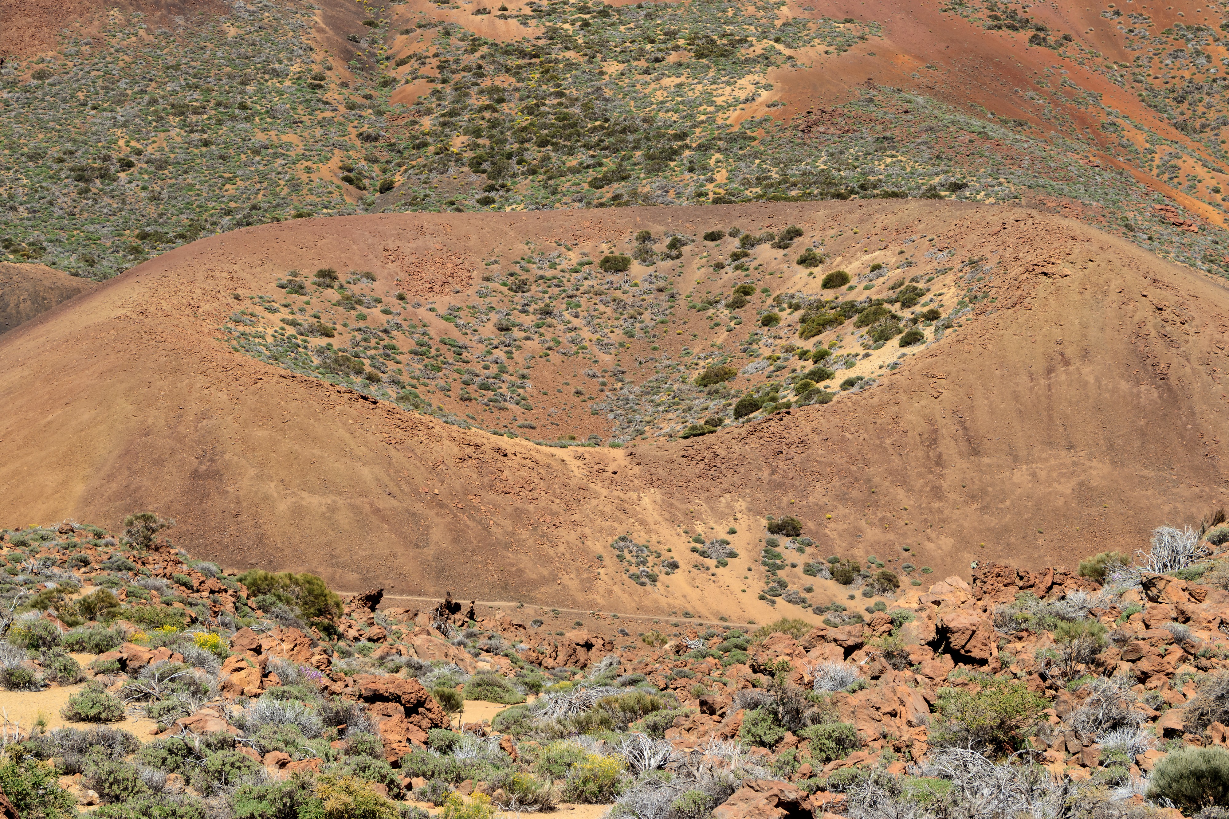 Caldera de las Cañadas 22