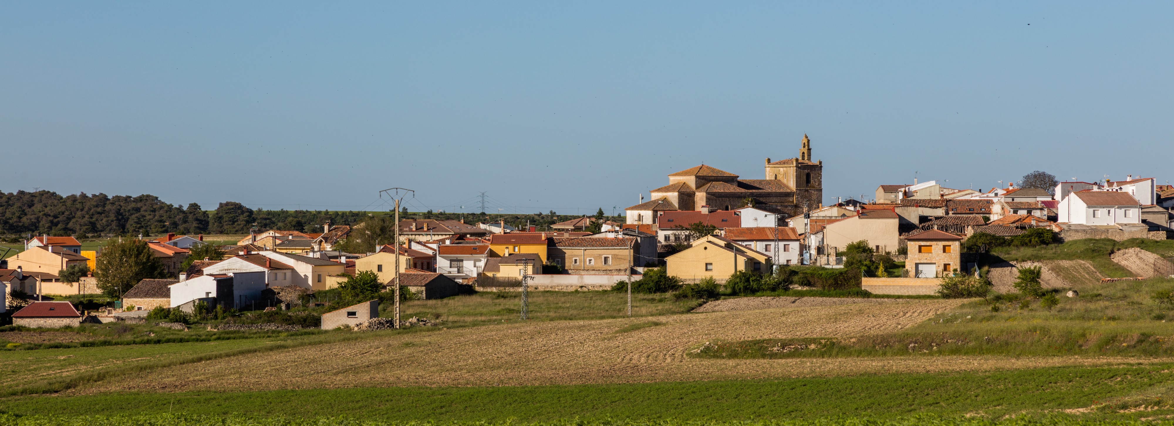 Canredondo, Guadalajara, España, 2017-05-22, DD 10