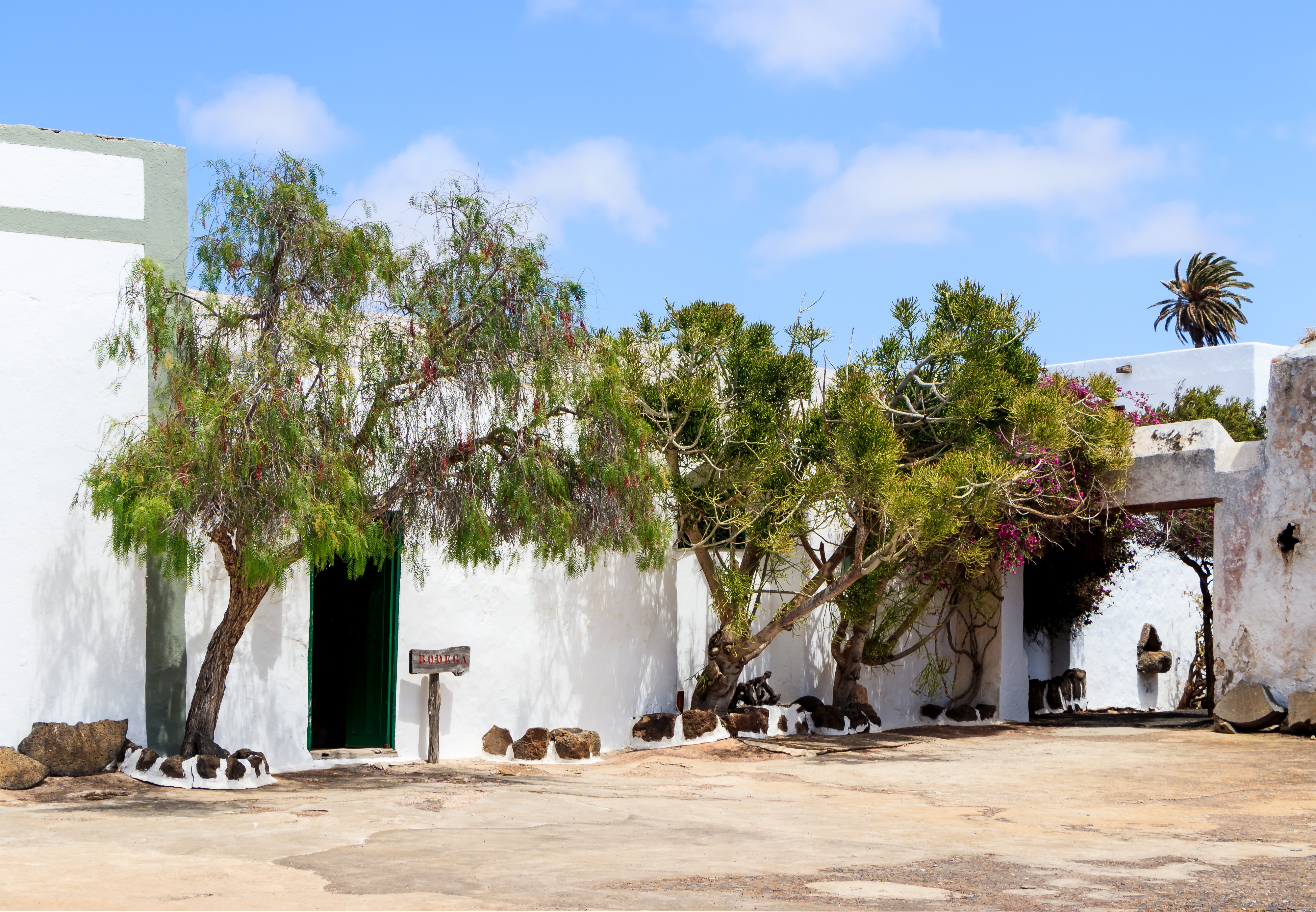 Courtyard - Museo Agrícola el Patio - Tiagua 01