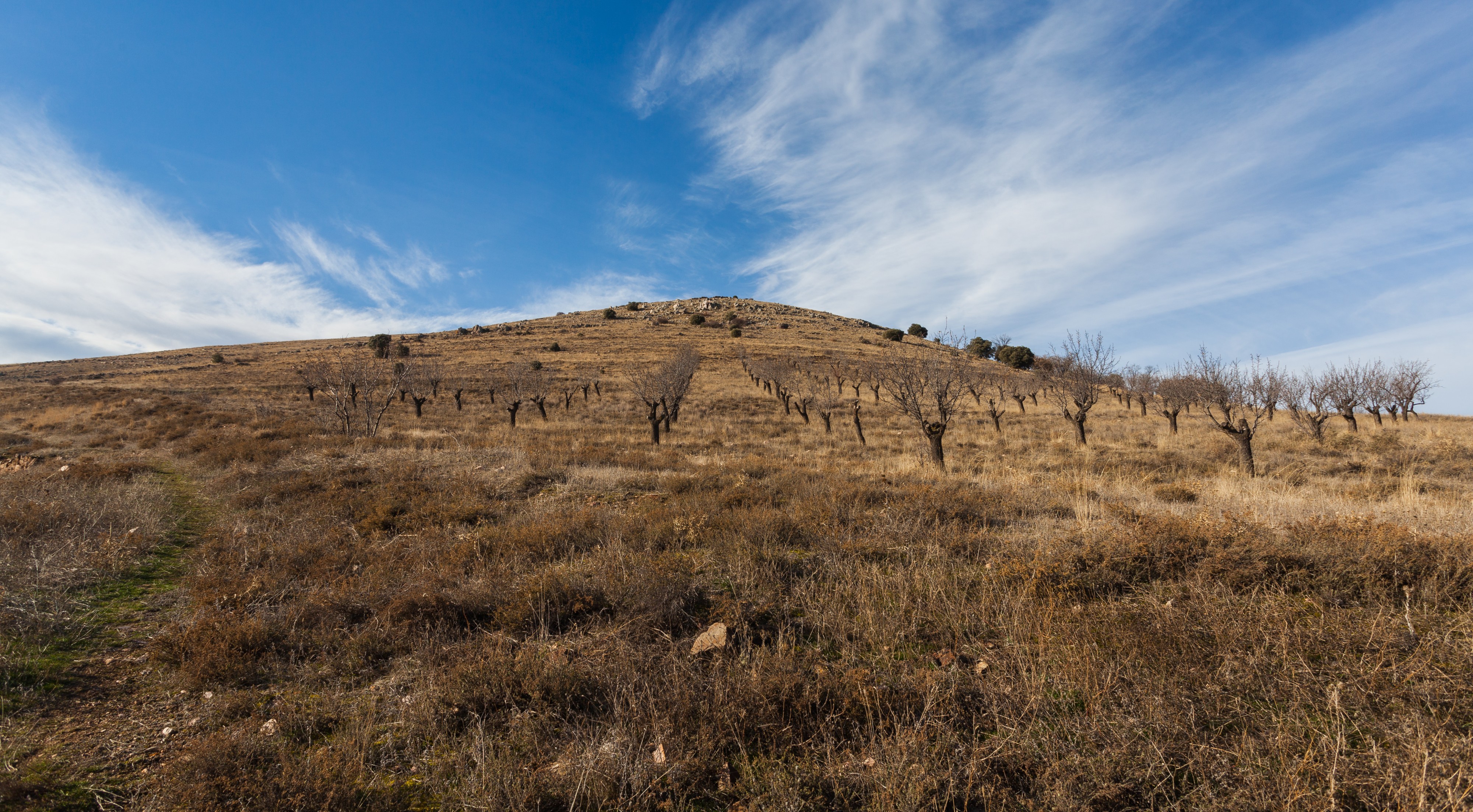 El Poyo del Cid, Teruel, España, 2014-01-08, DD 09
