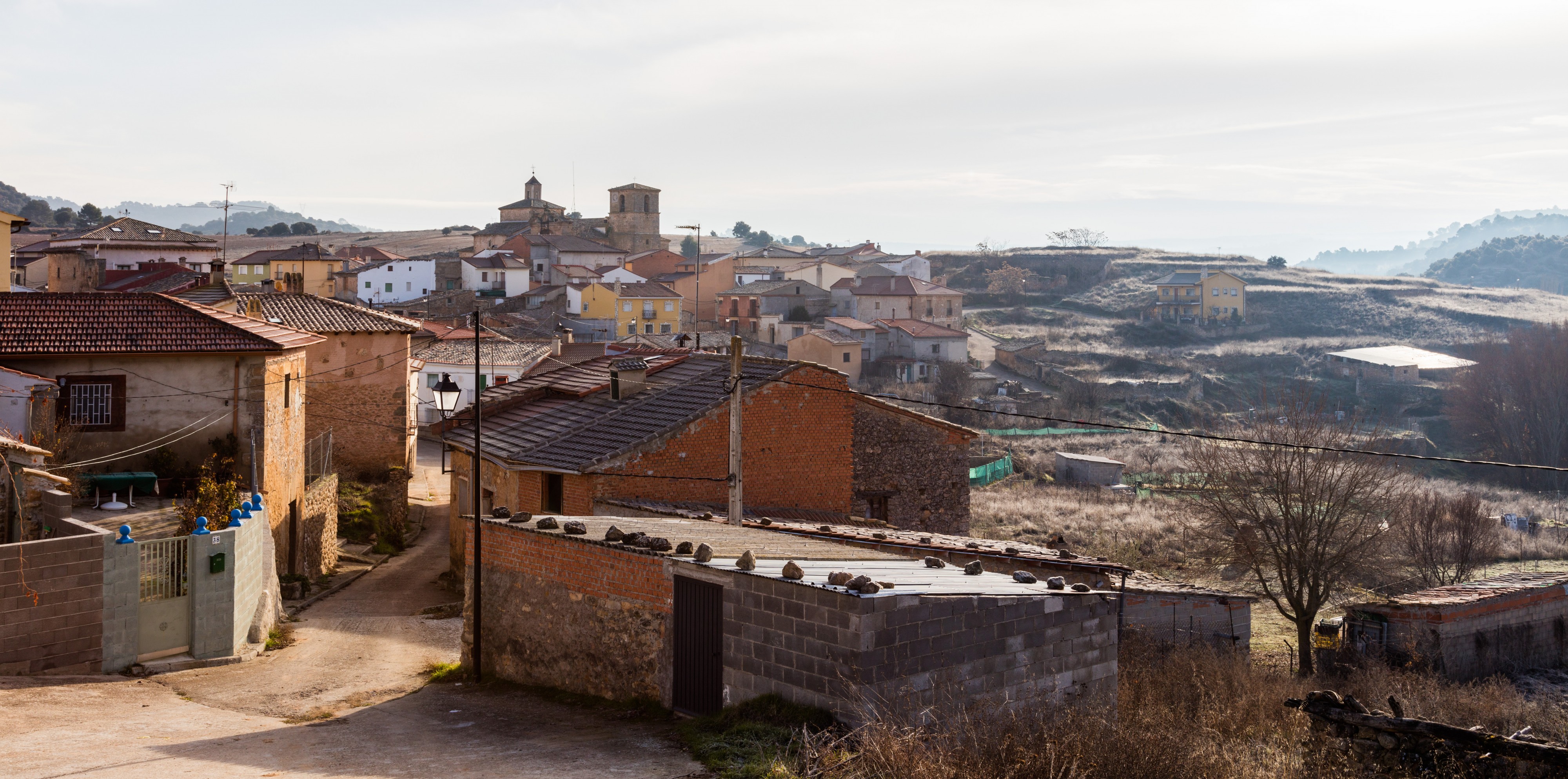 Gualda, Guadalajara, España, 2017-01-03, DD 21