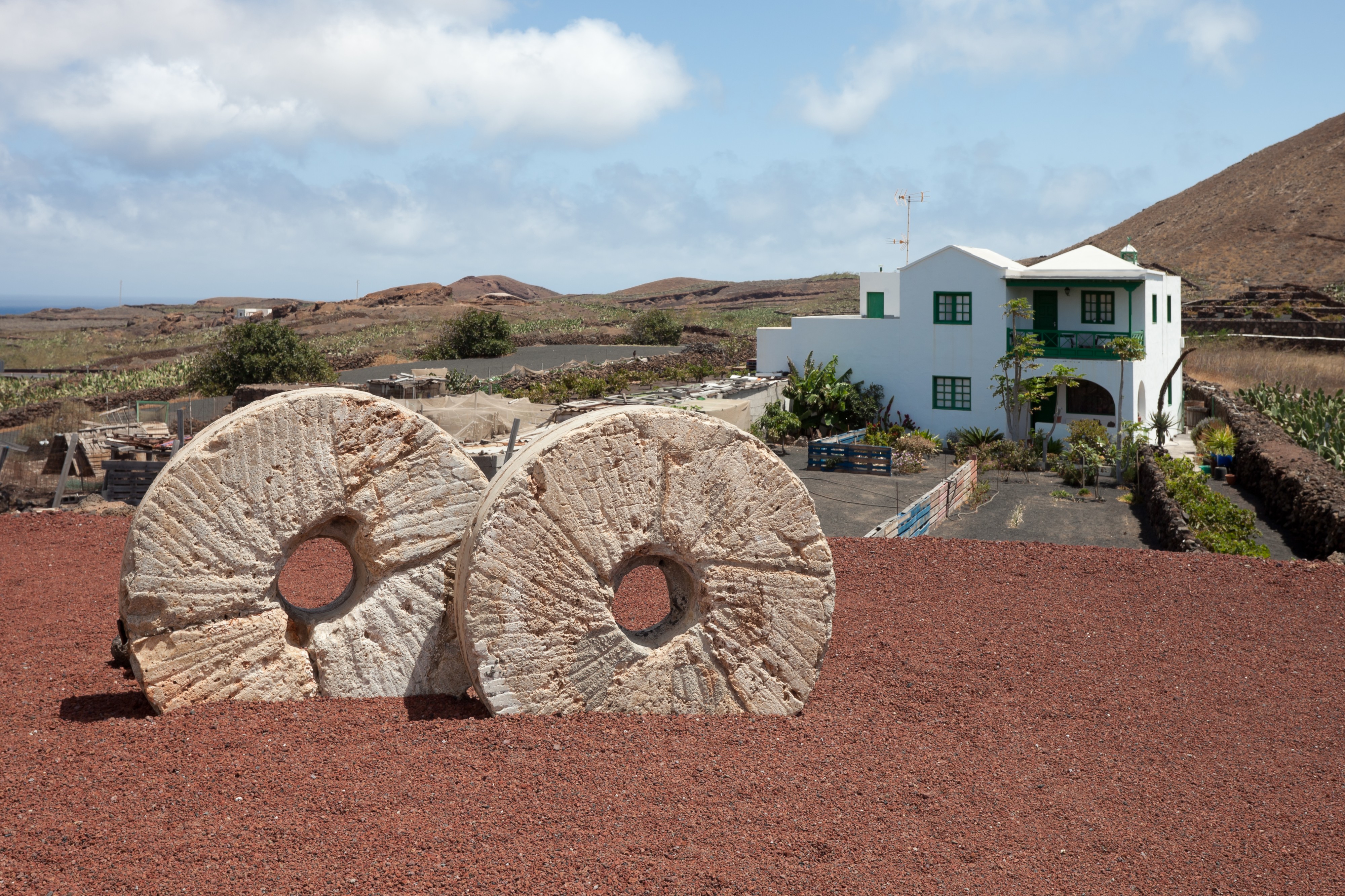 Guatiza - Lanzarote - J24