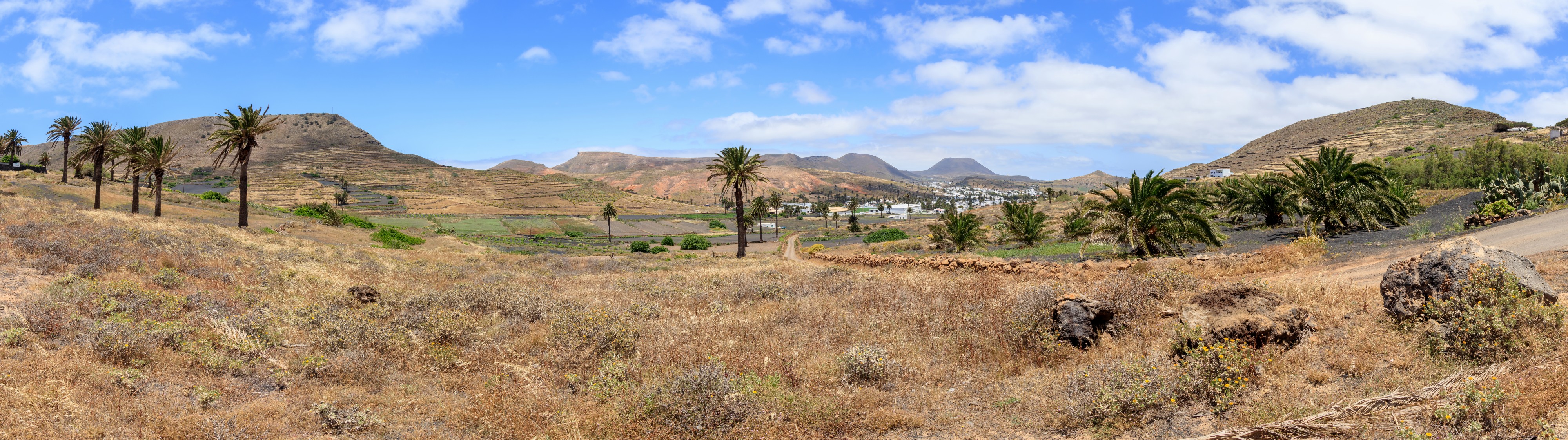 Haría - Lanzarote 01
