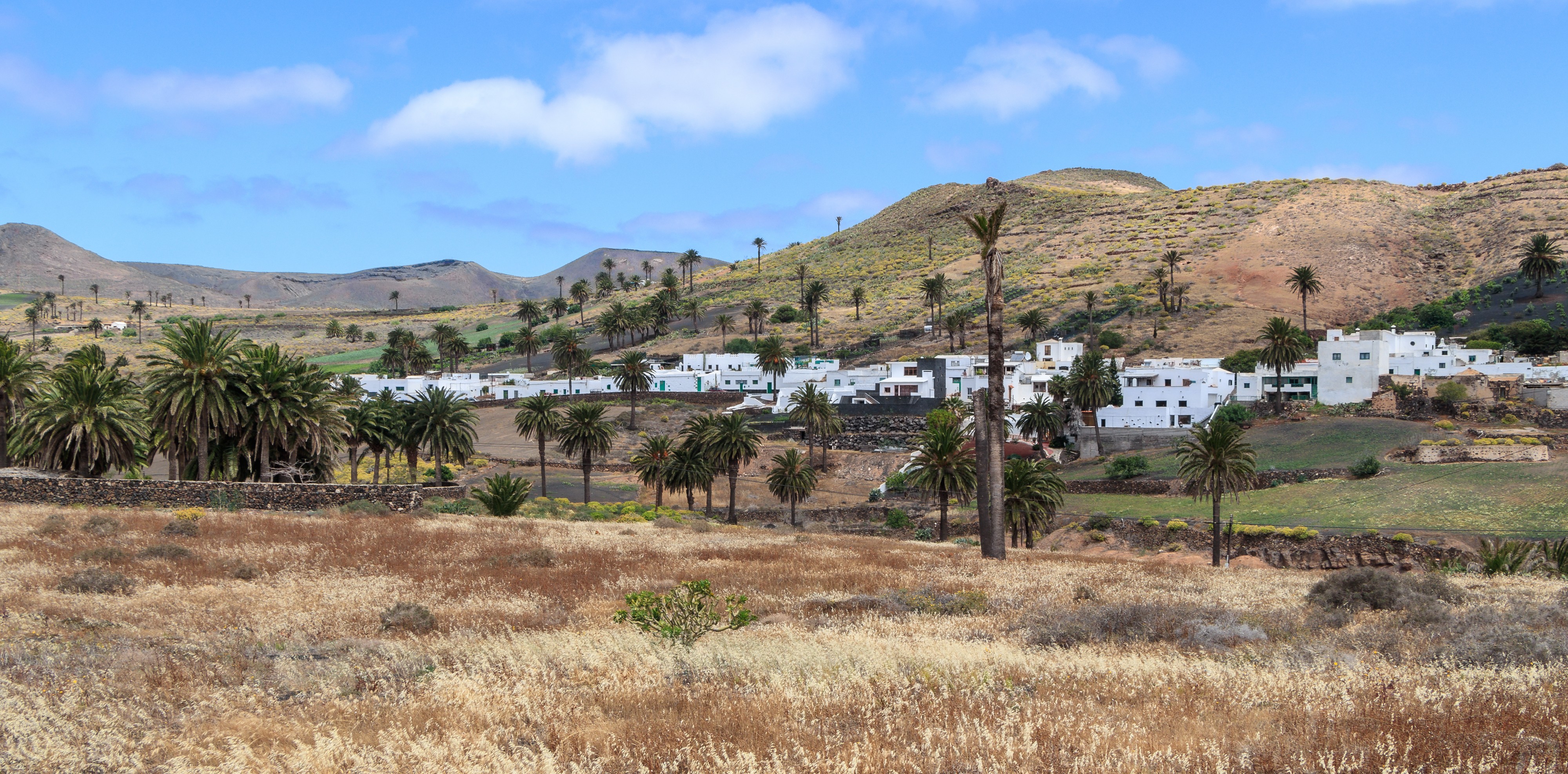 Haria - Lanzarote 01