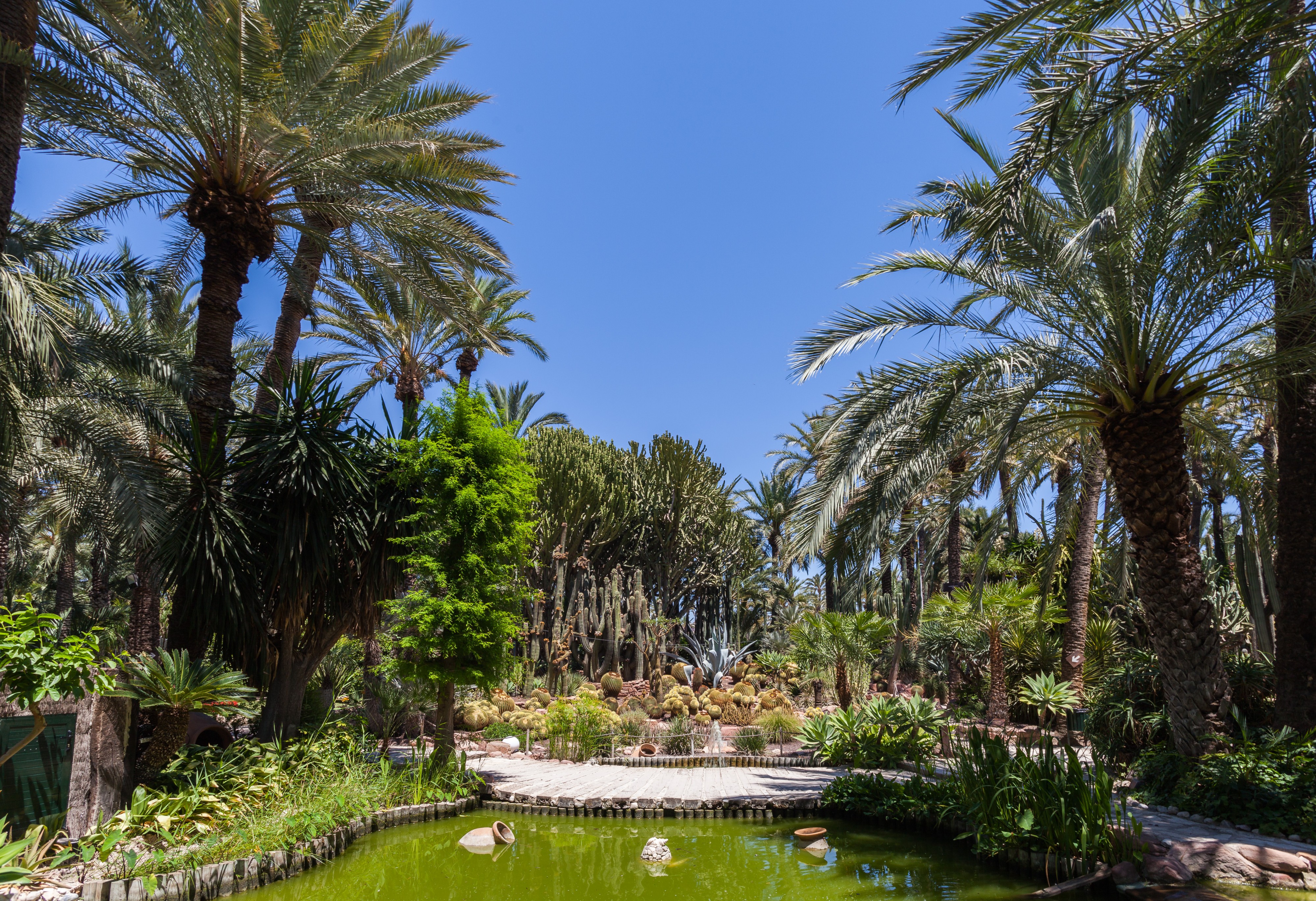 Huerto del Cura, Elche, España, 2014-07-05, DD 25