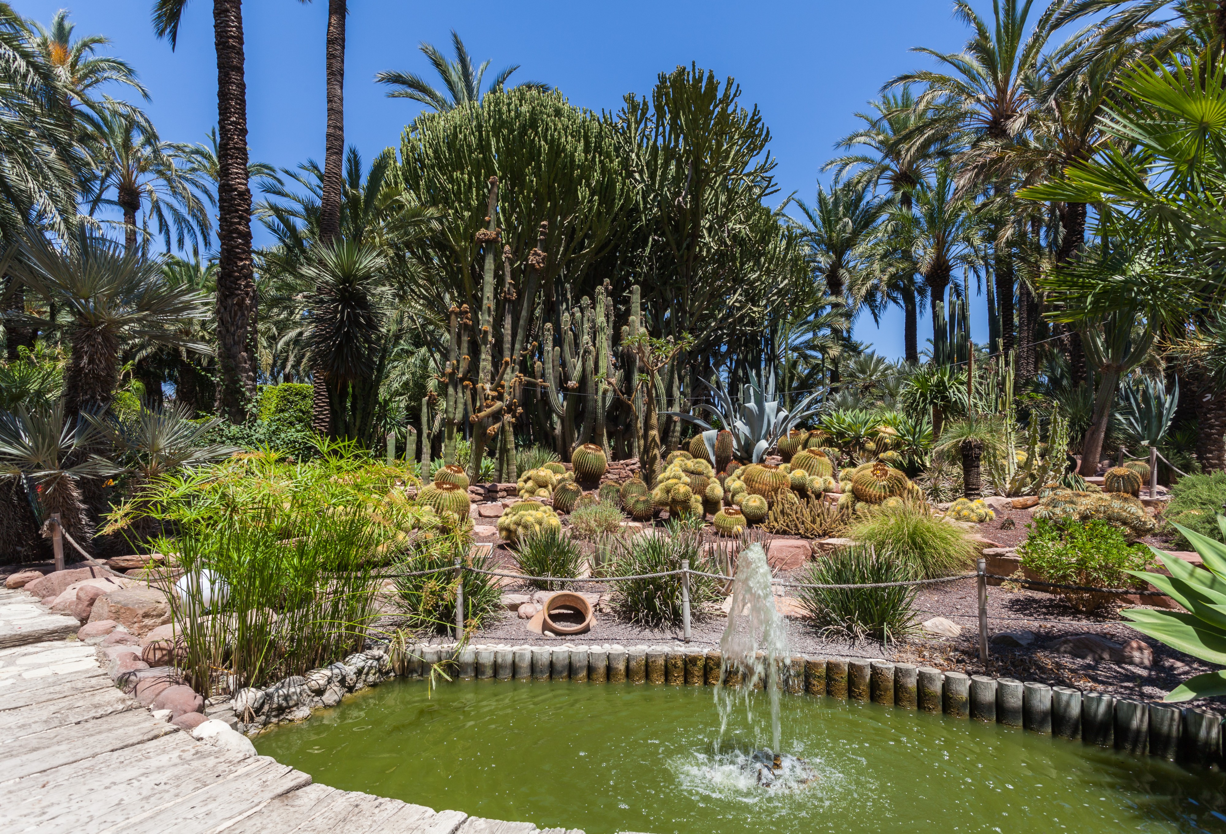 Huerto del Cura, Elche, España, 2014-07-05, DD 26