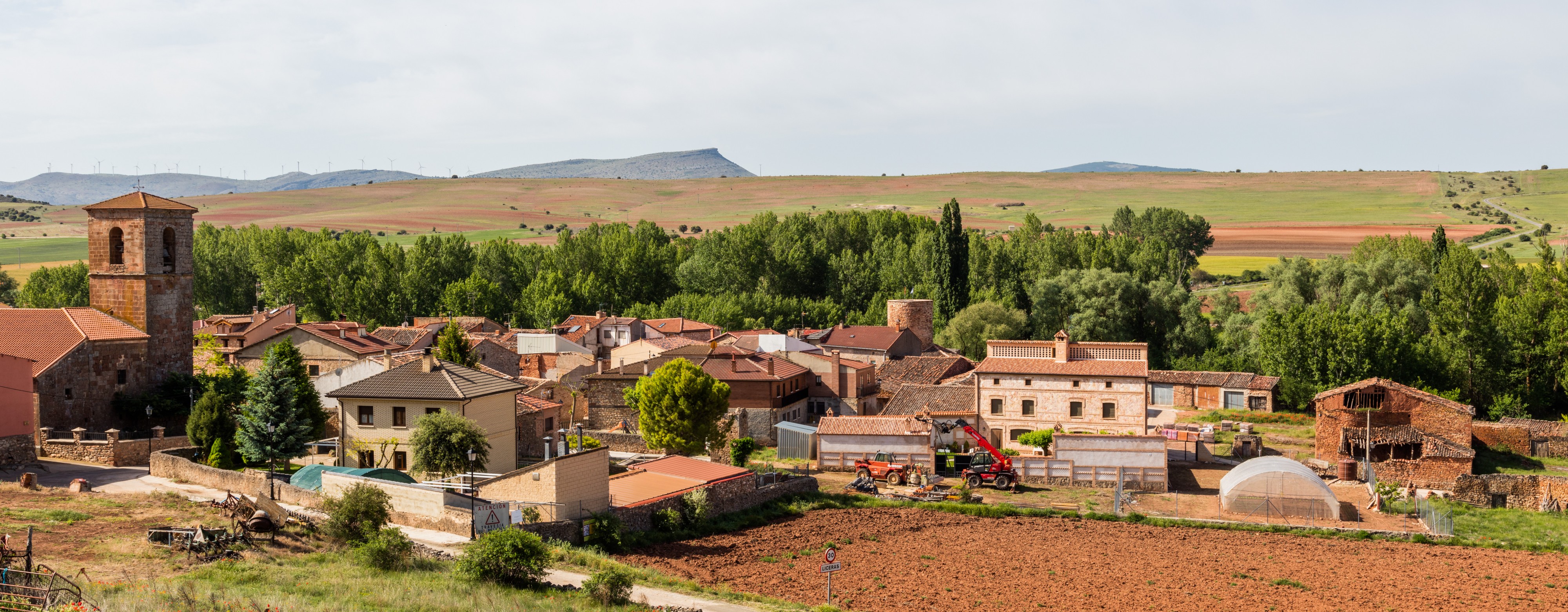 Liceras, Soria, España, 2017-05-26, DD 24