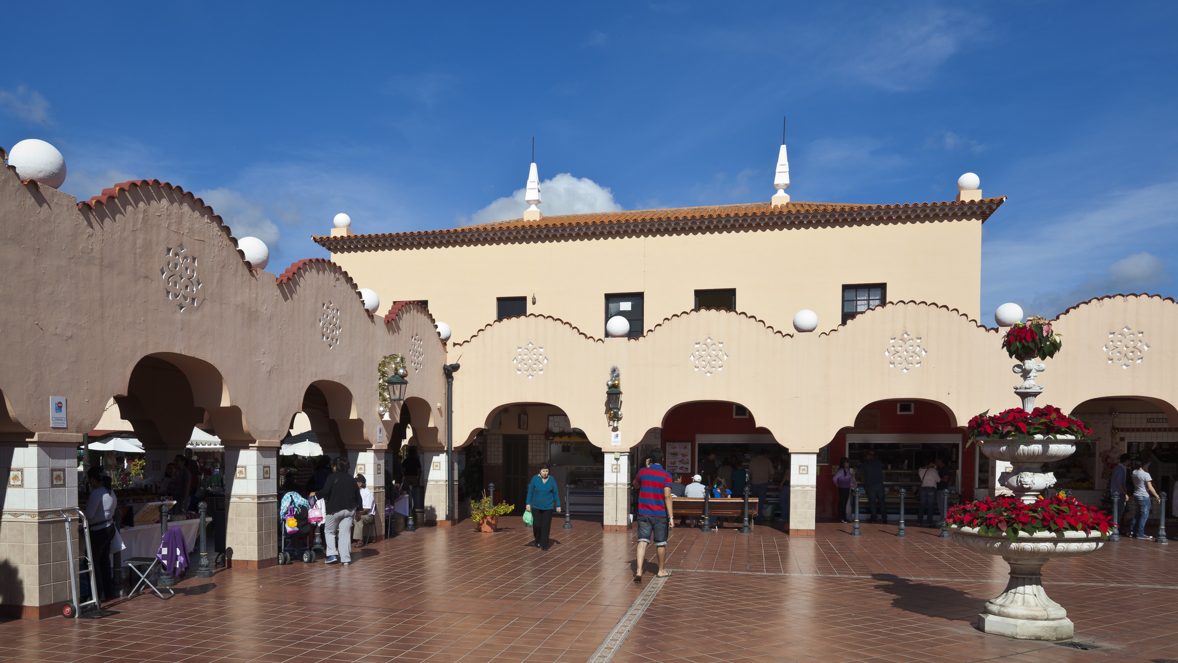 Mercado de Nuestra Señora de África, Santa Cruz de Tenerife, España, 2012-12-15, DD 01
