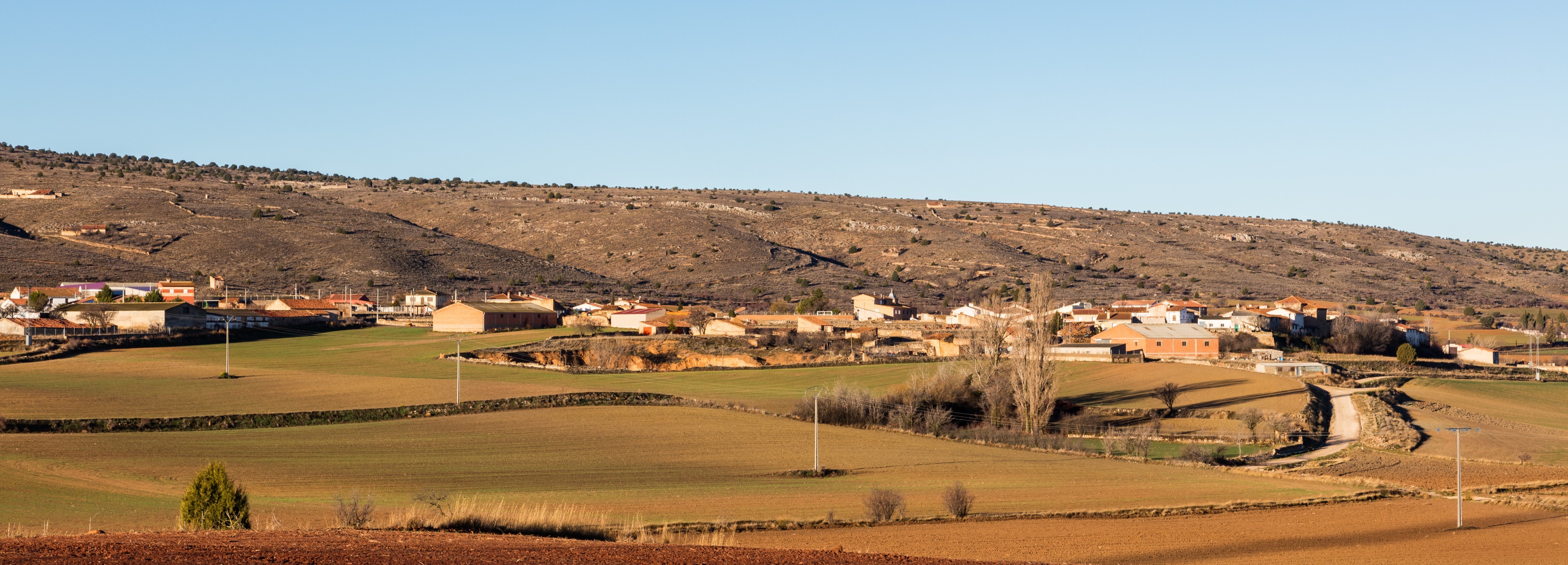 Milmarcos, Guadalajara, España, 2016-01-05, DD 08
