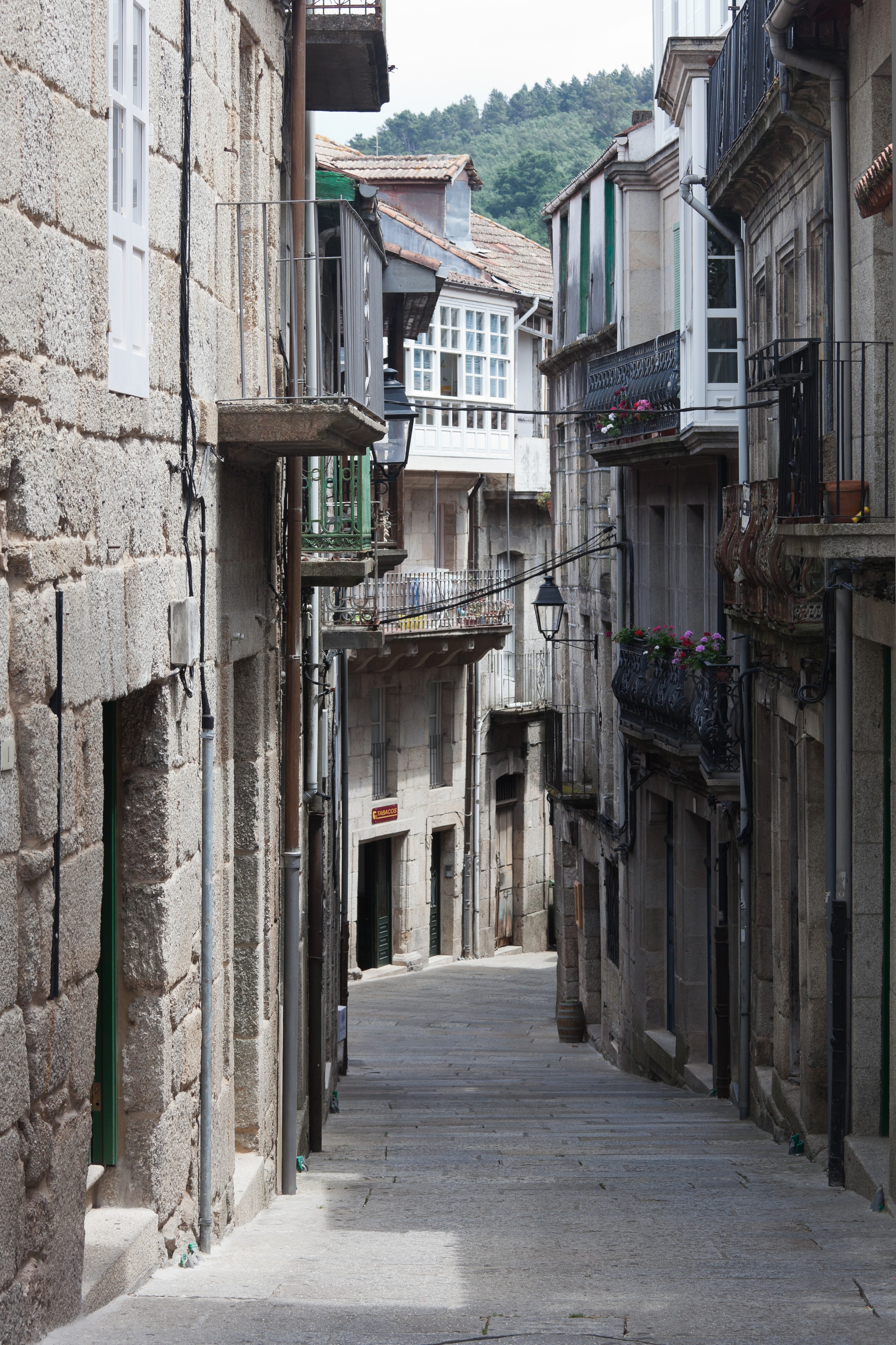 Ribadavia - Galiza-6