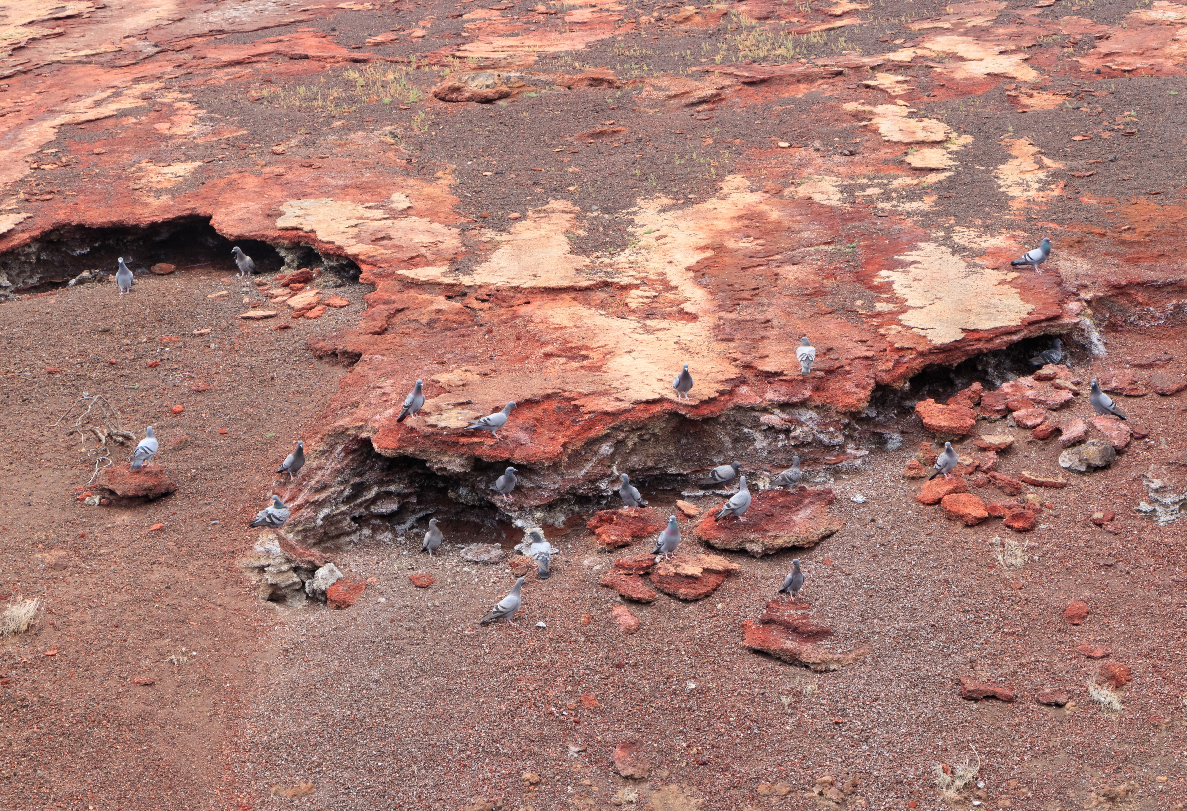 Timanfaya - Lanzarote 24